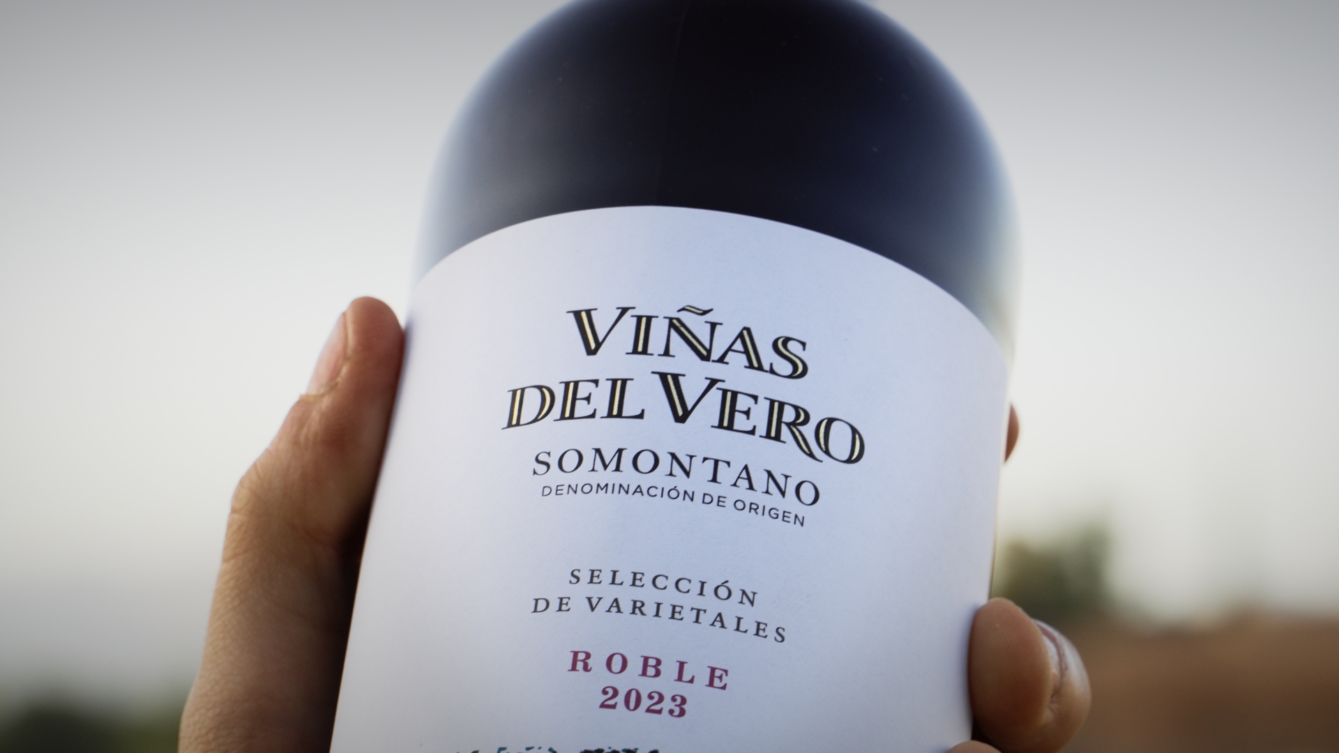 Spot Viñas del Vero